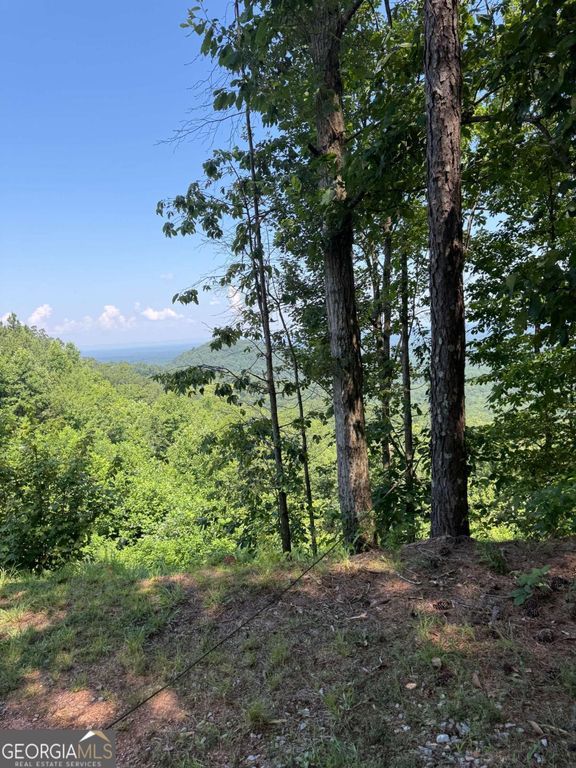 1588 Paladin Drive, Ranger, GA 30734