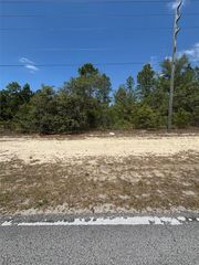10264 N ELKCAM BOULEVARD, Citrus Springs, FL 34433