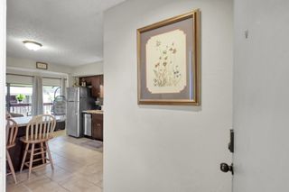 12900 Walden Road Road 620, Montgomery, TX 77356