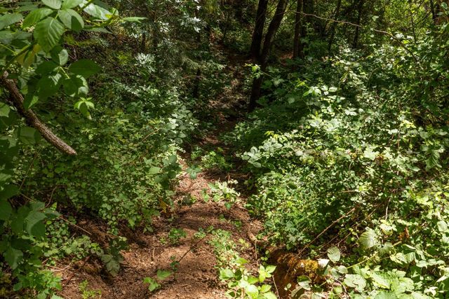 3560 Mining Brook Rd, Placerville, CA 95667