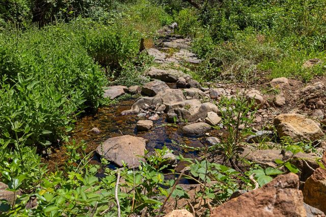 3560 Mining Brook Rd, Placerville, CA 95667
