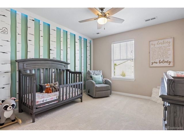11873 Phoebe St, Parker, CO 80134