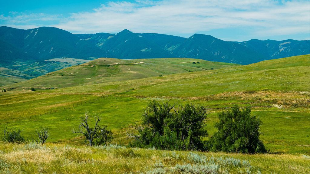 TBD Dow Road, Sheridan, WY 82801 photo 20