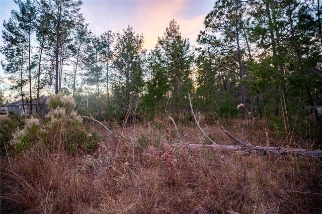 SW 39TH COURT, Ocala, FL 34473