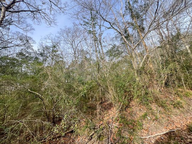 0 Fm 787, Saratoga, TX 77585