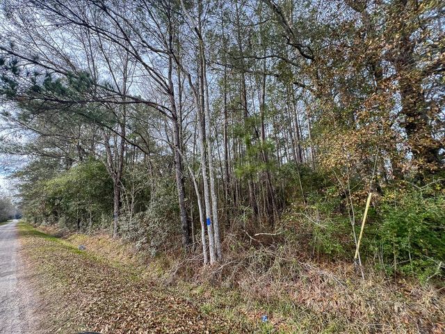 0 Fm 787, Saratoga, TX 77585