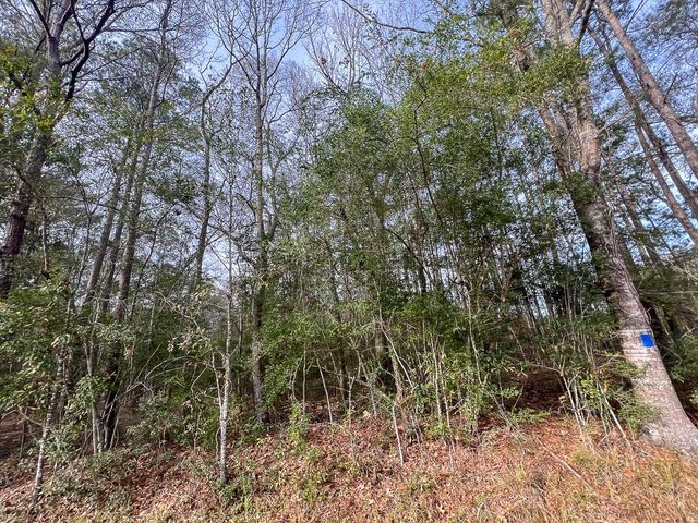 0 Fm 787, Saratoga, TX 77585