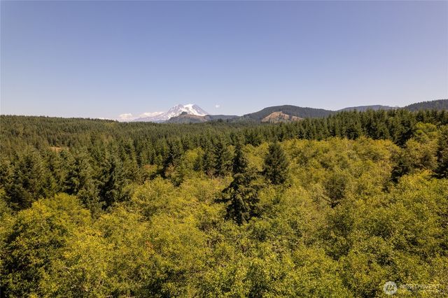 47655 138th Avenue E, Eatonville, WA 98328