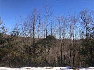 TBD Fletchers Cove Road, Purlear, NC 28665