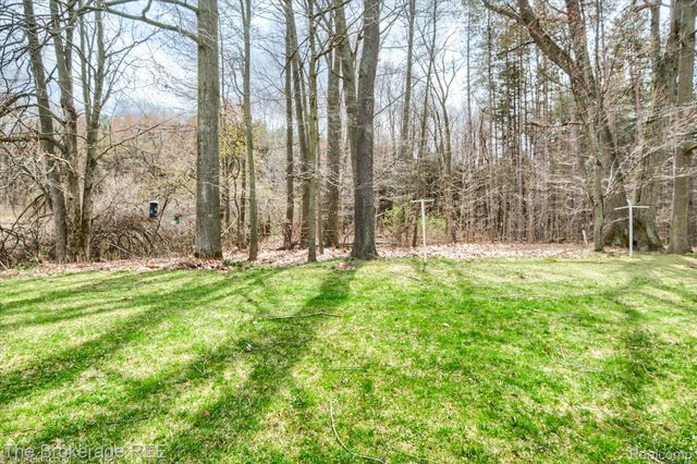 9370 Vienna Road, Forest Township, MI 48463
