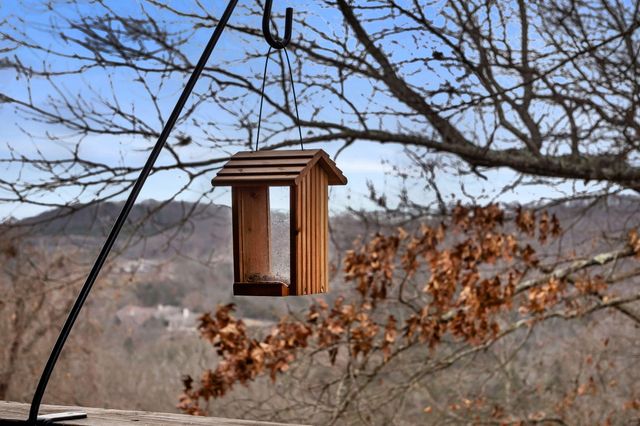 550 Notch Lane 8, Branson West, MO 65737