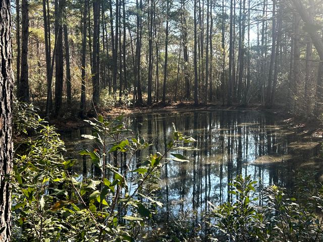 5933 Dixie Plantation Road, Hollywood, SC 29449