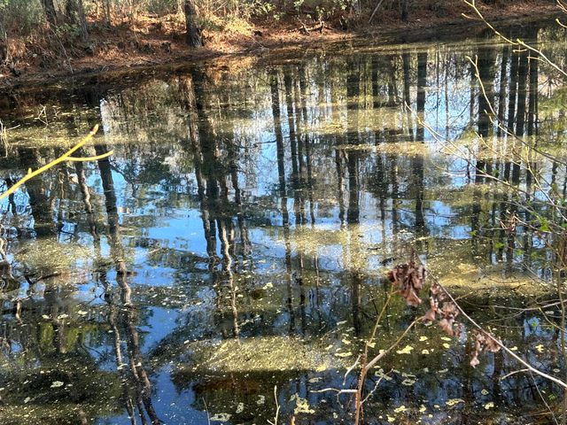 5933 Dixie Plantation Road, Hollywood, SC 29449