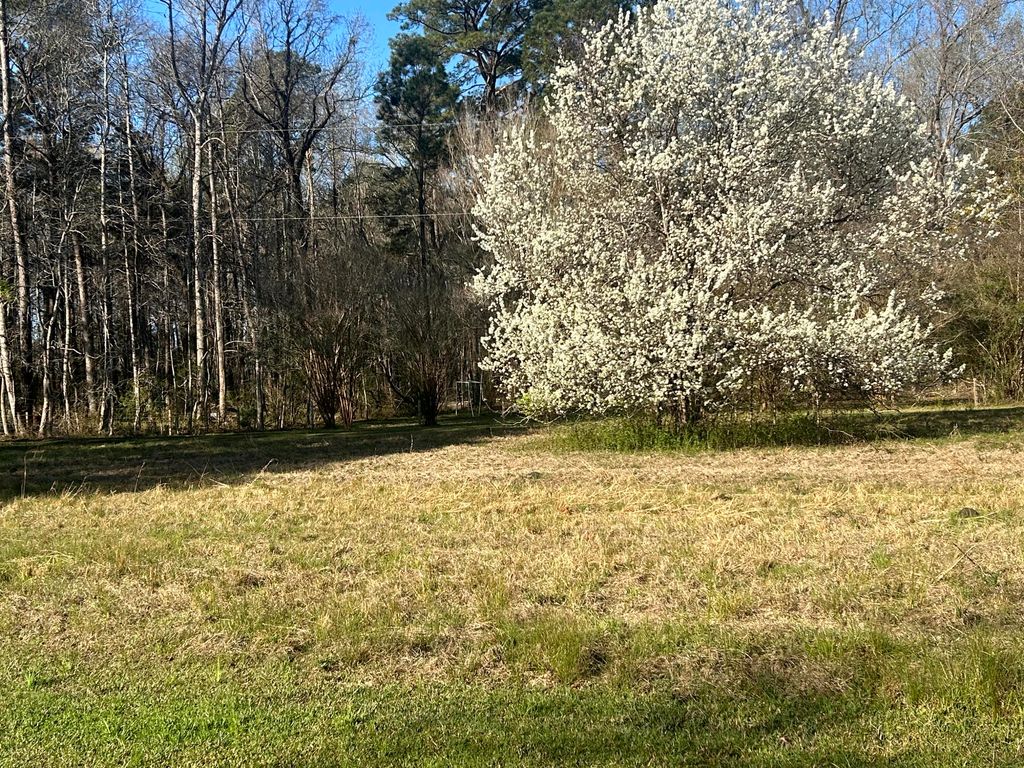 Image 22 of property listing at 5933 Dixie Plantation Road, Hollywood, SC 29449