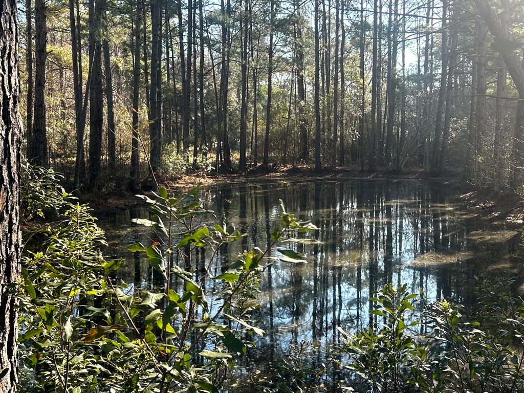 Image 28 of property listing at 5933 Dixie Plantation Road, Hollywood, SC 29449