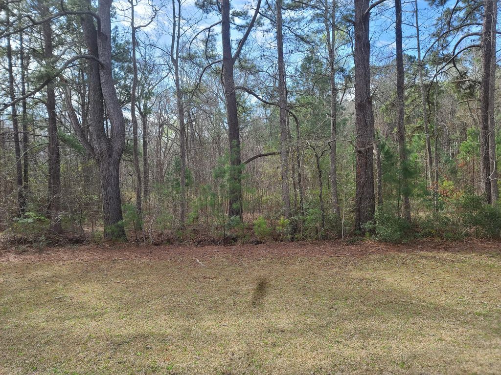 Image 3 of property listing at 5933 Dixie Plantation Road, Hollywood, SC 29449