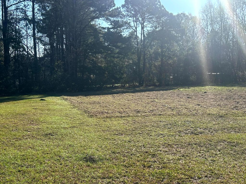 Image 30 of property listing at 5933 Dixie Plantation Road, Hollywood, SC 29449