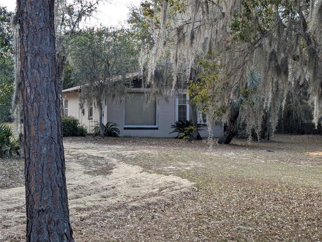 13668 NE 226TH AVENUE ROAD, Salt Springs, FL 32134