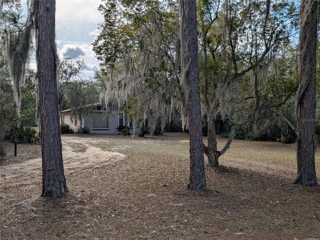 13668 NE 226TH AVENUE ROAD, Salt Springs, FL 32134