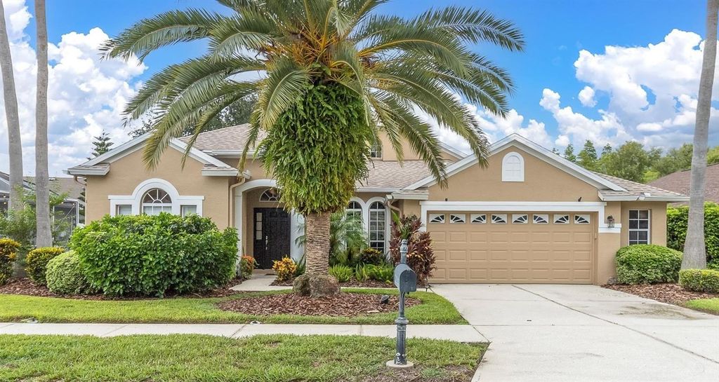 8729 TORCHWOOD DRIVE, Trinity, FL 34655