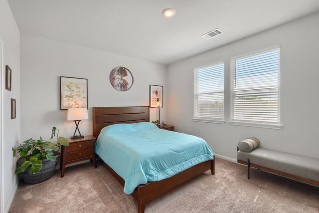 13216 Desert Orchid DR, Buda, TX 78610