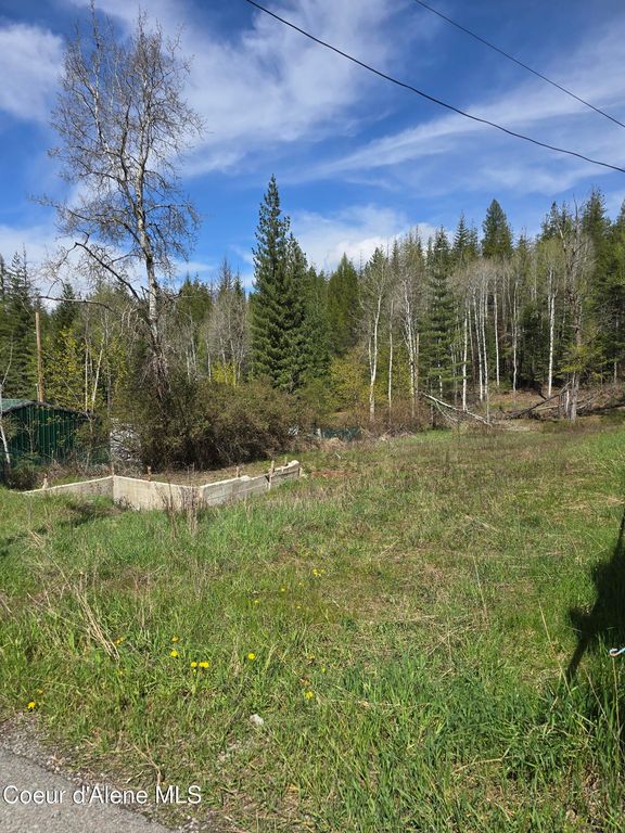 821 Lower Page Rd, Smelterville, ID 83868 photo 3