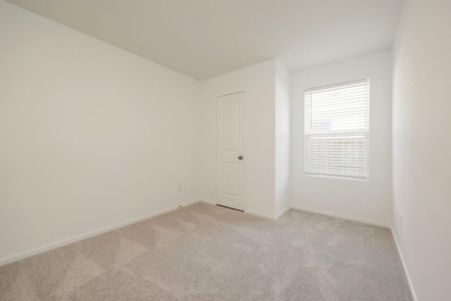 18064 Trepito Avenue, New Caney, TX 77357