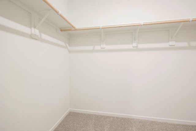 18064 Trepito Avenue, New Caney, TX 77357