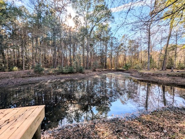 1741 Lakeview Drive, Ozark, AL 36360