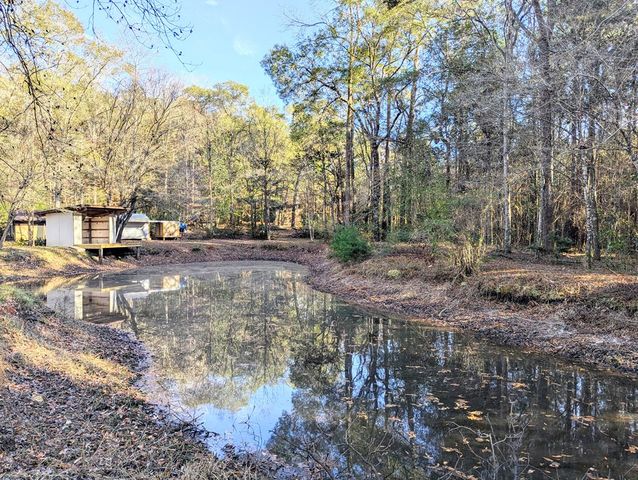 1741 Lakeview Drive, Ozark, AL 36360