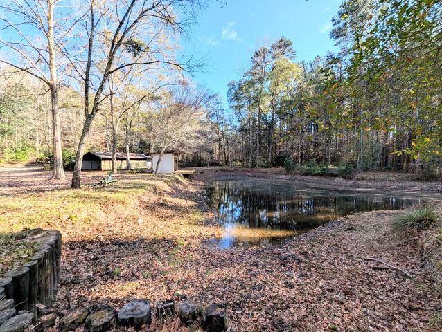 1741 Lakeview Drive, Ozark, AL 36360
