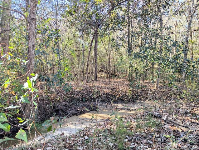 1741 Lakeview Drive, Ozark, AL 36360