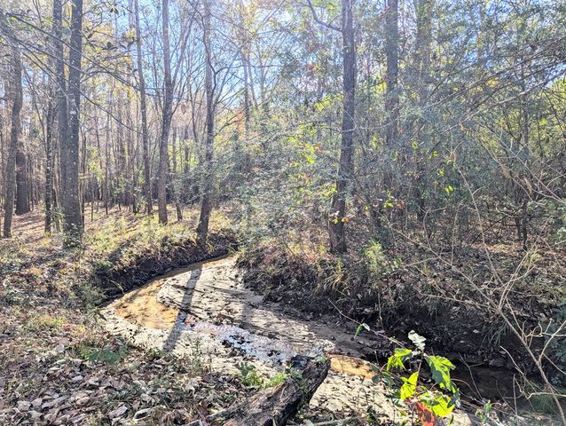 1741 Lakeview Drive, Ozark, AL 36360