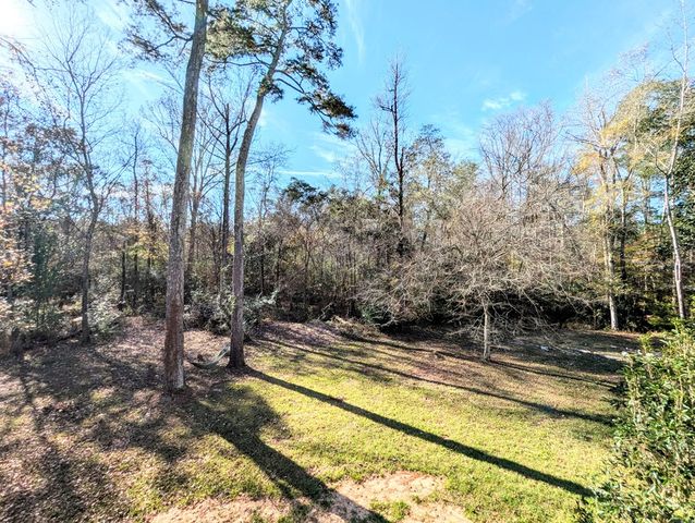 1741 Lakeview Drive, Ozark, AL 36360