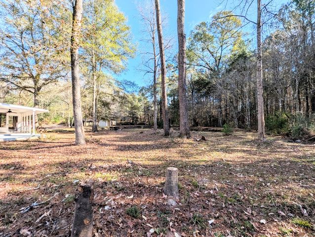 1741 Lakeview Drive, Ozark, AL 36360