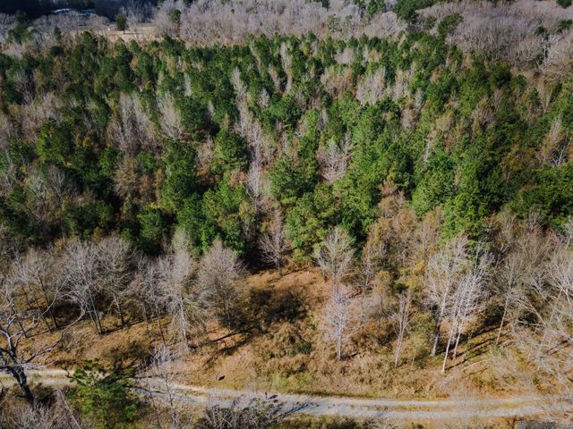 5905 Line Rd, Ethel, LA 70730