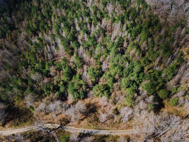 5905 Line Rd, Ethel, LA 70730