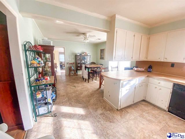 222 Hicks Rd, Coward, SC 29530