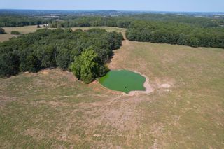 000 North Farm Road 215, Parcel 2, Strafford, MO 65757