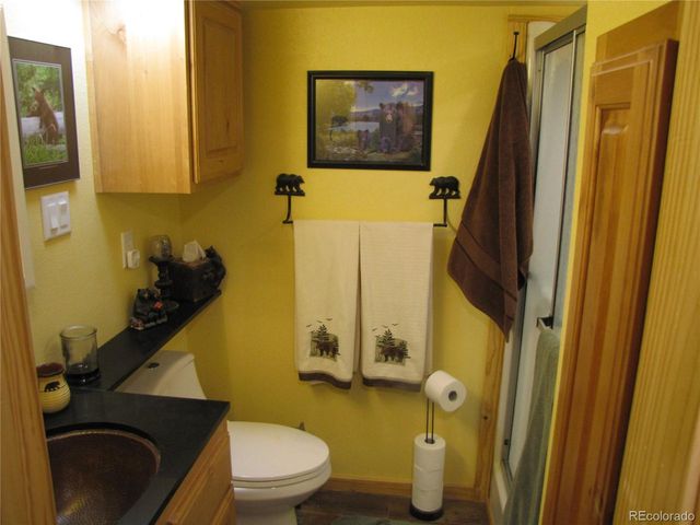 233 Tressel Trl, Hartsel, CO 80449