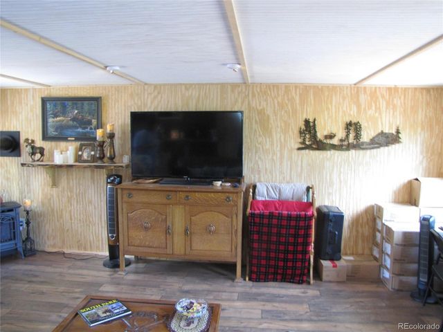 233 Tressel Trl, Hartsel, CO 80449