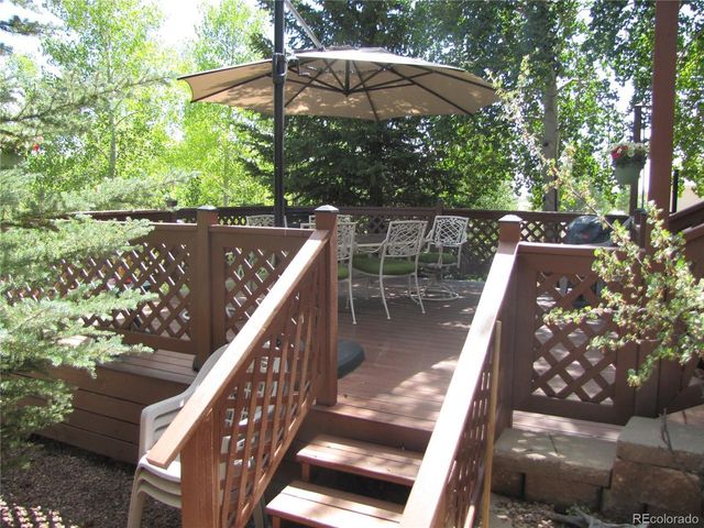 233 Tressel Trl, Hartsel, CO 80449