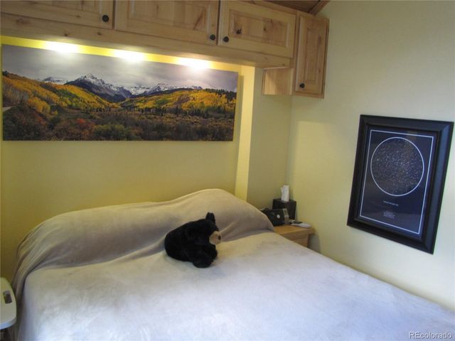 233 Tressel Trl, Hartsel, CO 80449