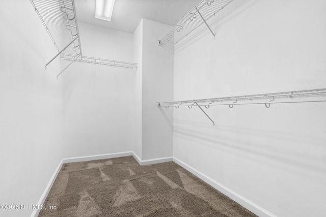 3897 LIONHEART Drive, Jacksonville, FL 32216