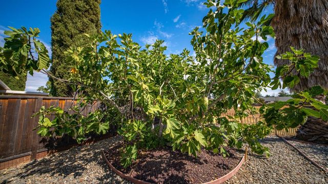 442 Yellowstone Dr, Vacaville, CA 95687