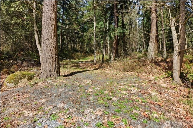 0 Clear Lake Road N, Eatonville, WA 98328