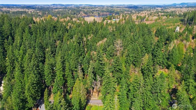 0 Clear Lake Road N, Eatonville, WA 98328