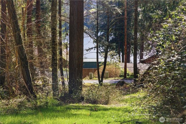 0 Clear Lake Road N, Eatonville, WA 98328