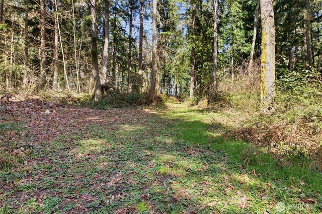 0 Clear Lake Road N, Eatonville, WA 98328