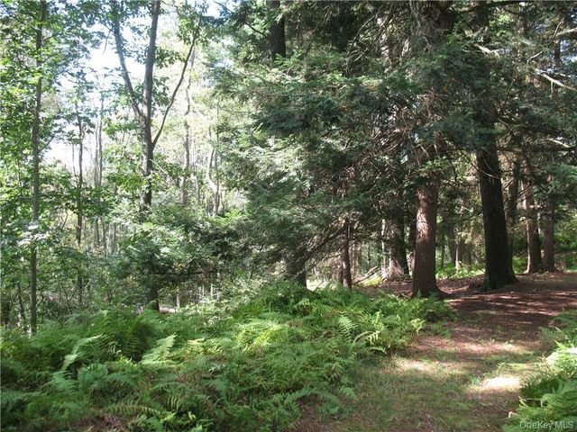 441 Hollow Road, Glen Spey, NY 12737